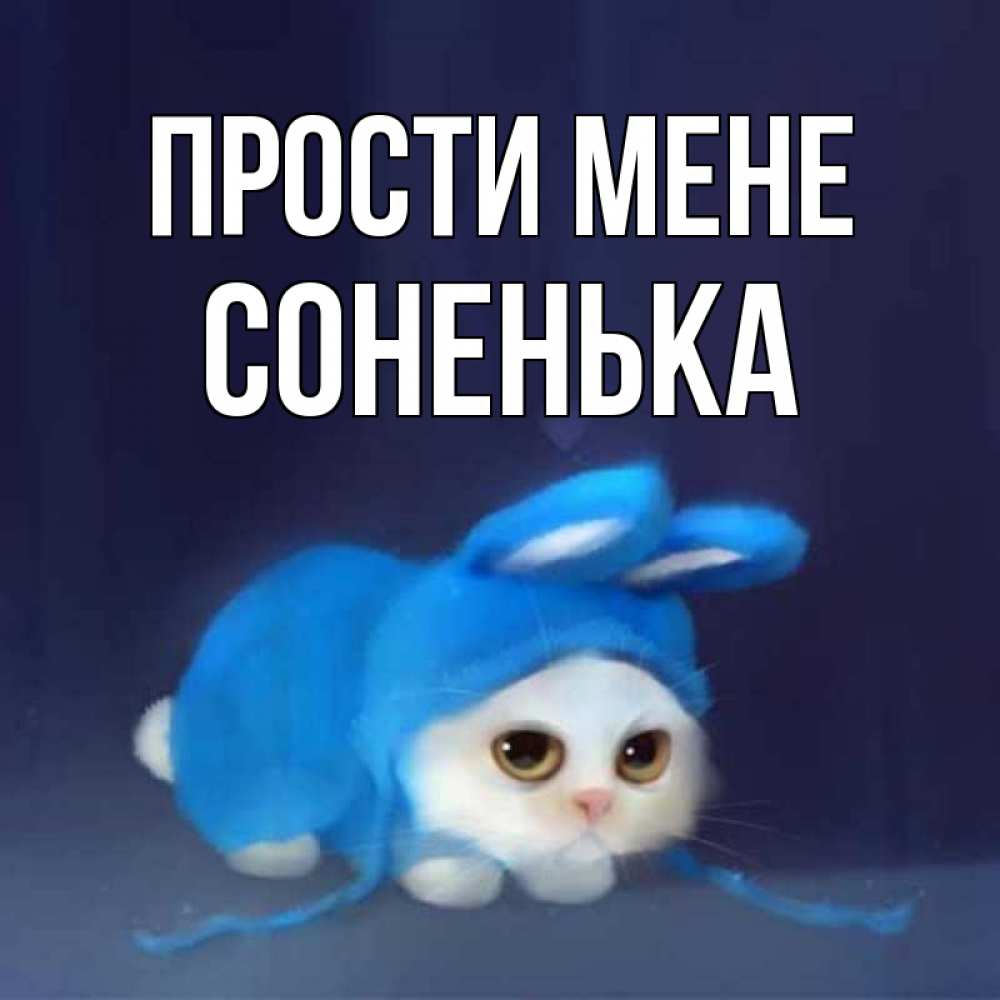 Открытка на каждый день з підписом, Соненька Прости мене невинный котозай просит прощения Прикольна листівка з побажанням онлайн скачати безкоштовно 