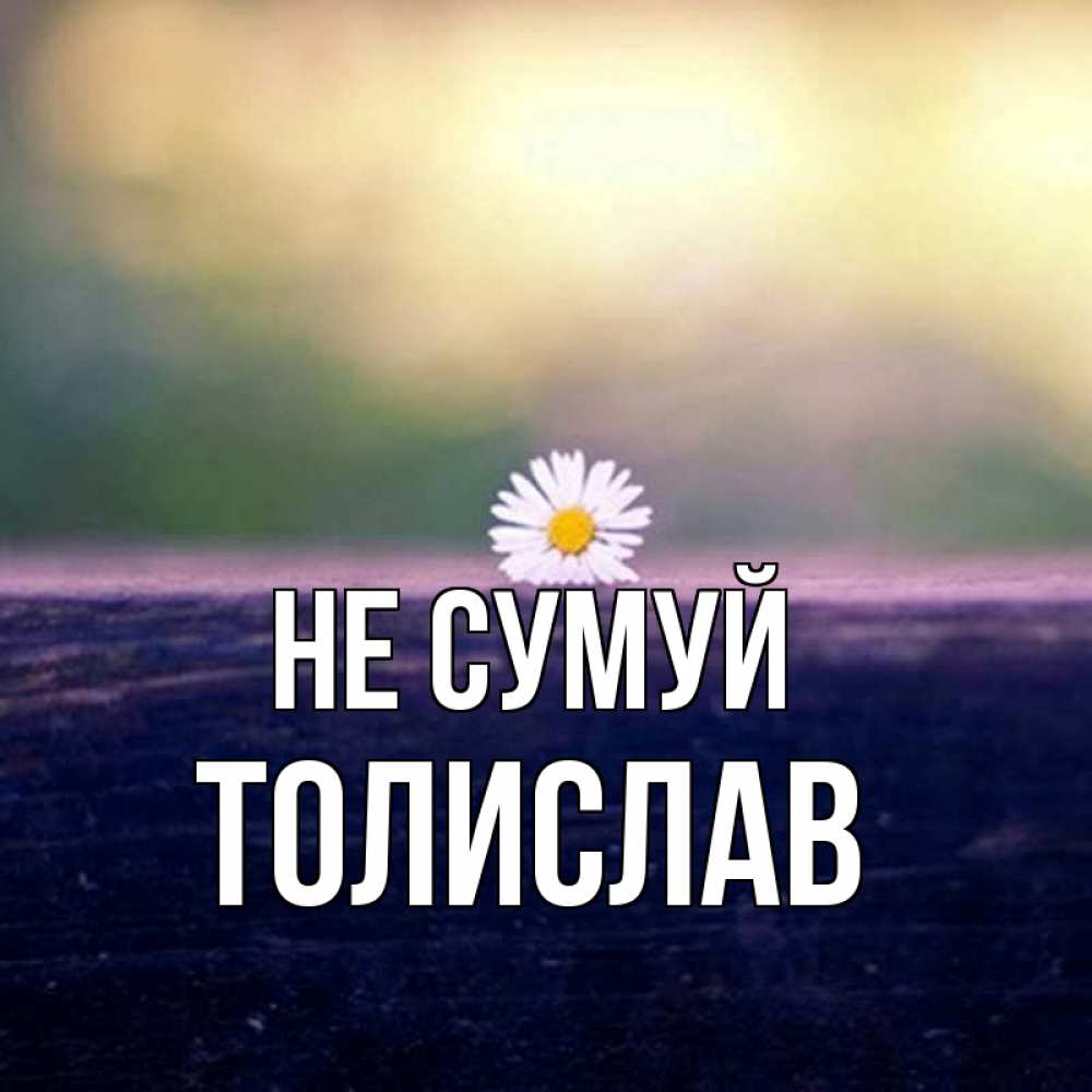 Открытка на каждый день з підписом, Толислав Не сумуй красота Прикольна листівка з побажанням онлайн скачати безкоштовно 