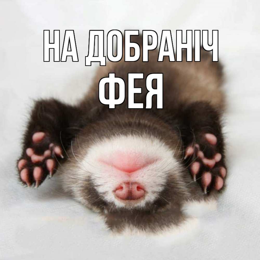 Открытка на каждый день з підписом, Фея На добраніч зверек Прикольна листівка з побажанням онлайн скачати безкоштовно 
