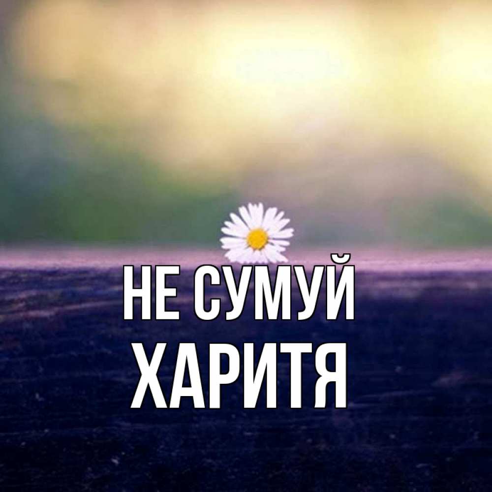 Открытка на каждый день з підписом, Харитя Не сумуй красота Прикольна листівка з побажанням онлайн скачати безкоштовно 