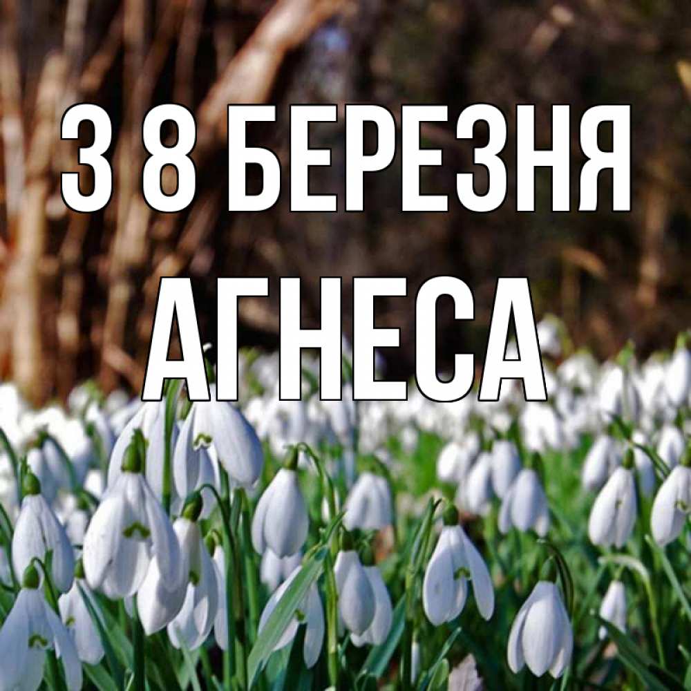 Открытка на каждый день з підписом, Агнеса З 8 БЕРЕЗНЯ с подснежниками 1 Прикольна листівка з побажанням онлайн скачати безкоштовно 