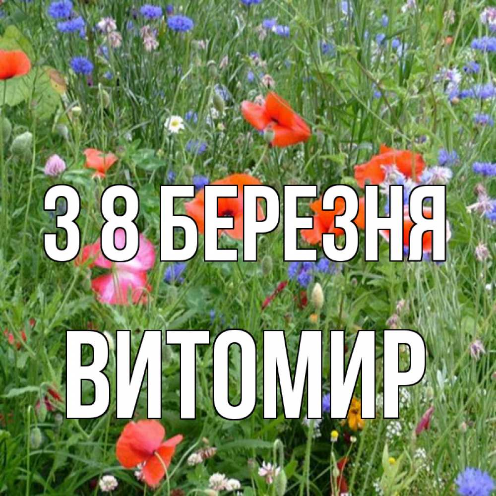 Открытка на каждый день з підписом, Витомир З 8 БЕРЕЗНЯ международный женский день 4 Прикольна листівка з побажанням онлайн скачати безкоштовно 