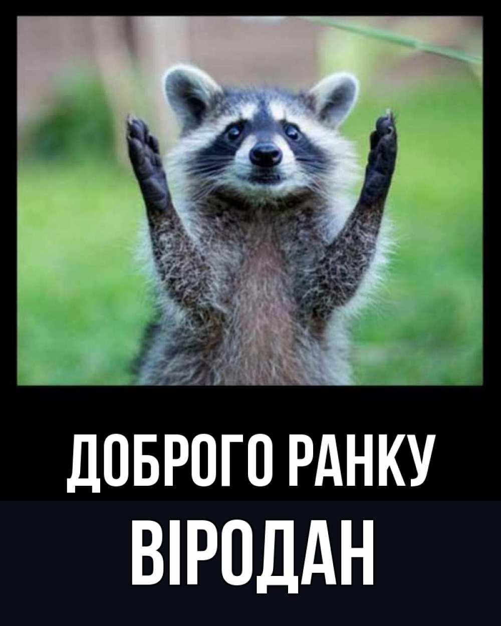 Открытка на каждый день з підписом, Віродан Доброго ранку хорошее настроение утречком Прикольна листівка з побажанням онлайн скачати безкоштовно 