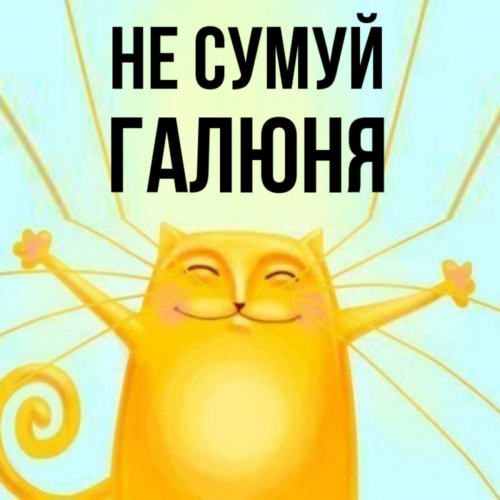 Открытка на каждый день з підписом, Галюня Не сумуй обнимашки усатые Прикольна листівка з побажанням онлайн скачати безкоштовно 