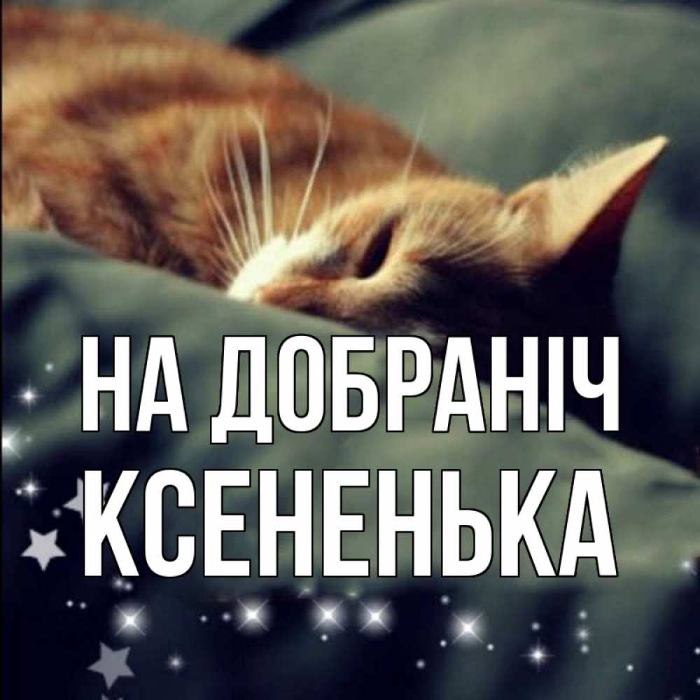 Открытка на каждый день з підписом, Ксененька На добраніч кроватка Прикольна листівка з побажанням онлайн скачати безкоштовно 
