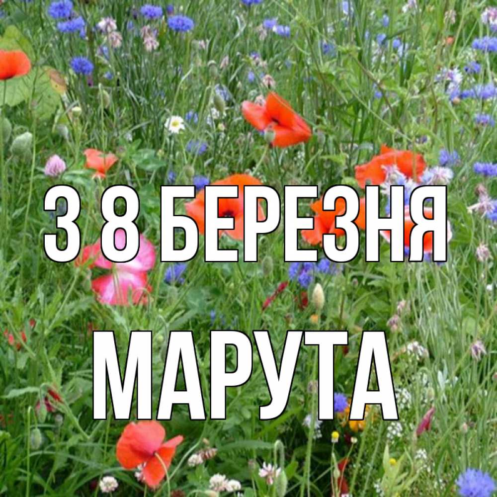 Открытка на каждый день з підписом, Марута З 8 БЕРЕЗНЯ международный женский день 4 Прикольна листівка з побажанням онлайн скачати безкоштовно 