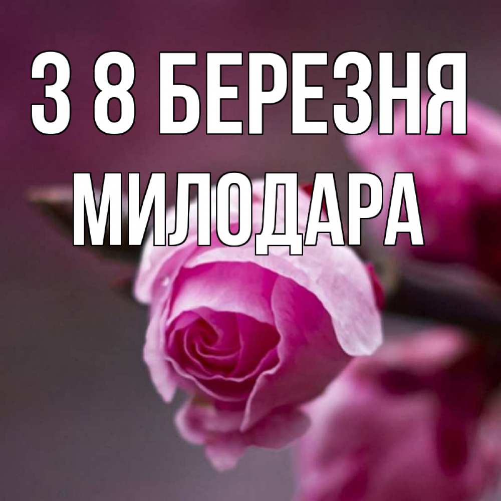 Открытка на каждый день з підписом, Милодара З 8 БЕРЕЗНЯ весна Прикольна листівка з побажанням онлайн скачати безкоштовно 