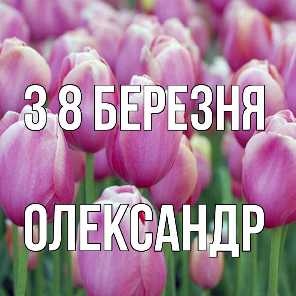 Открытка на каждый день з підписом, Олександр З 8 БЕРЕЗНЯ на международный женский день 3 Прикольна листівка з побажанням онлайн скачати безкоштовно 