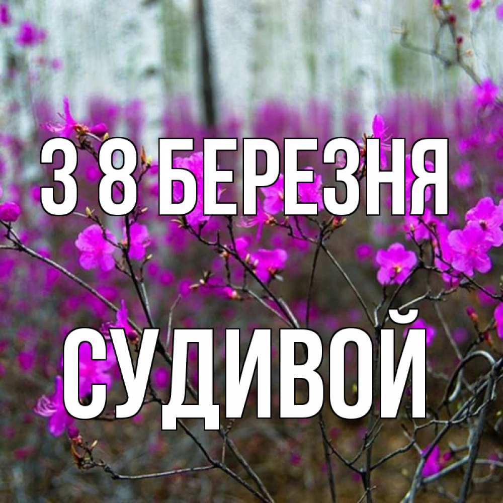 Открытка на каждый день з підписом, Судивой З 8 БЕРЕЗНЯ дикие цветы Прикольна листівка з побажанням онлайн скачати безкоштовно 
