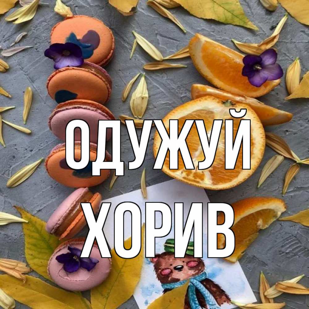 Открытка на каждый день з підписом, Хорив Одужуй не болейте Прикольна листівка з побажанням онлайн скачати безкоштовно 