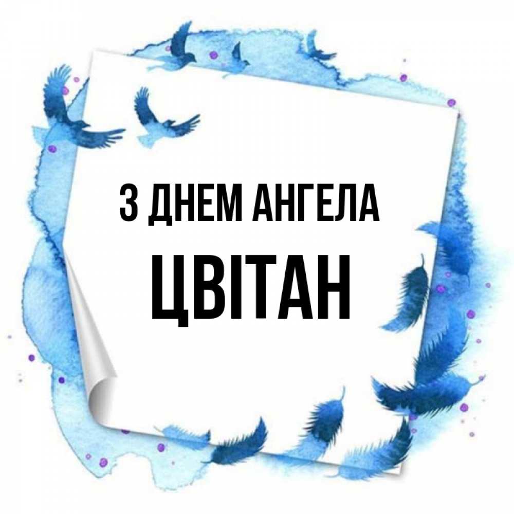 Открытка на каждый день з підписом, Цвітан З Днем ангела красивые птицы летят Прикольна листівка з побажанням онлайн скачати безкоштовно 