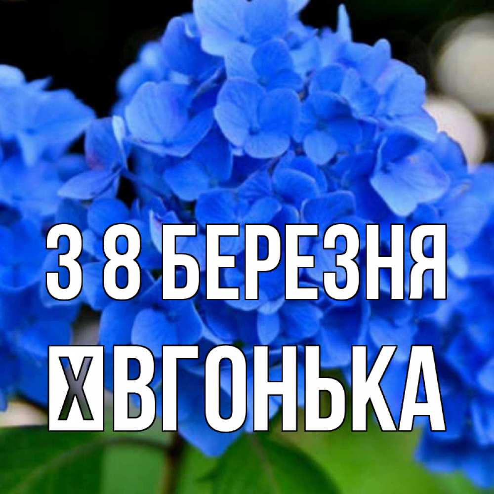Открытка на каждый день з підписом, Ївгонька З 8 БЕРЕЗНЯ синие цветы Прикольна листівка з побажанням онлайн скачати безкоштовно 