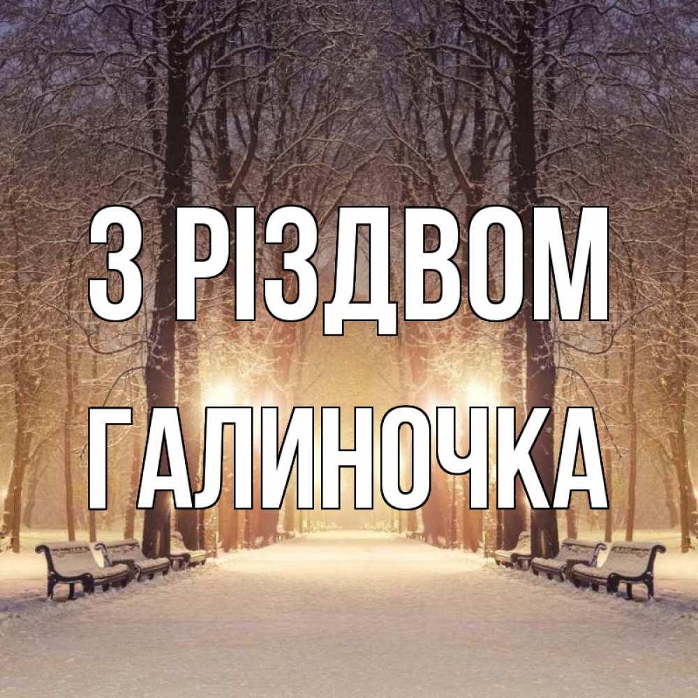 Открытка на каждый день з підписом, Галиночка З Різдвом зима, парк, фонарь, лес Прикольна листівка з побажанням онлайн скачати безкоштовно 