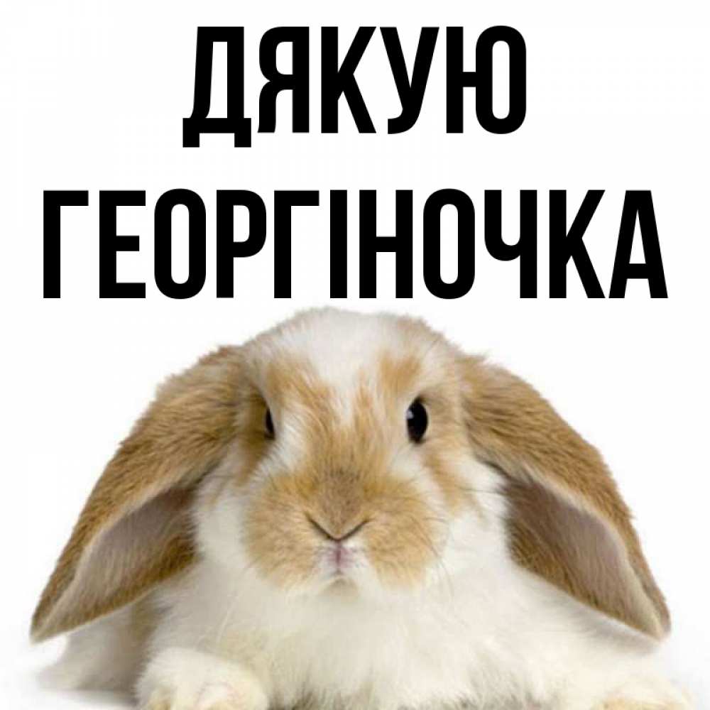 Открытка на каждый день з підписом, Георгіночка Дякую коричнево белый заяц Прикольна листівка з побажанням онлайн скачати безкоштовно 