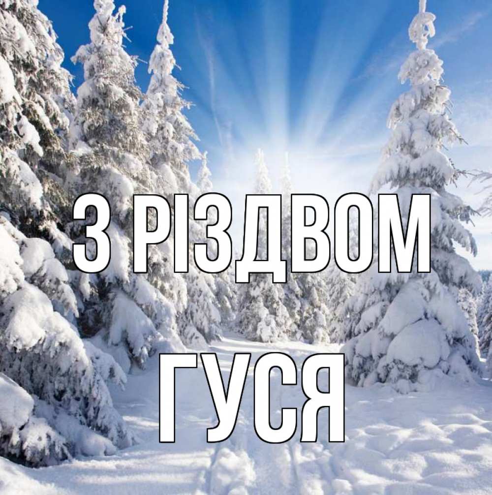 Открытка на каждый день з підписом, Гуся З Різдвом зима, лес Прикольна листівка з побажанням онлайн скачати безкоштовно 