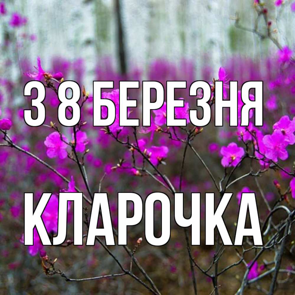 Открытка на каждый день з підписом, Кларочка З 8 БЕРЕЗНЯ дикие цветы Прикольна листівка з побажанням онлайн скачати безкоштовно 