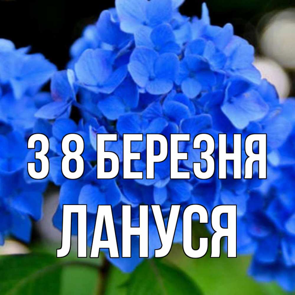 Открытка на каждый день з підписом, Лануся З 8 БЕРЕЗНЯ синие цветы Прикольна листівка з побажанням онлайн скачати безкоштовно 