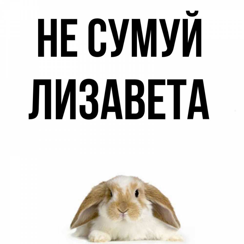 Открытка на каждый день з підписом, Лизавета Не сумуй коричнево белый заяц с большими ушками Прикольна листівка з побажанням онлайн скачати безкоштовно 