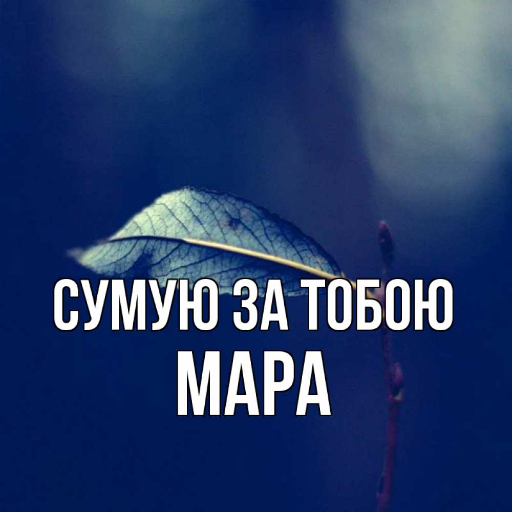 Открытка на каждый день з підписом, Мара Сумую за тобою одна ветка 1 Прикольна листівка з побажанням онлайн скачати безкоштовно 