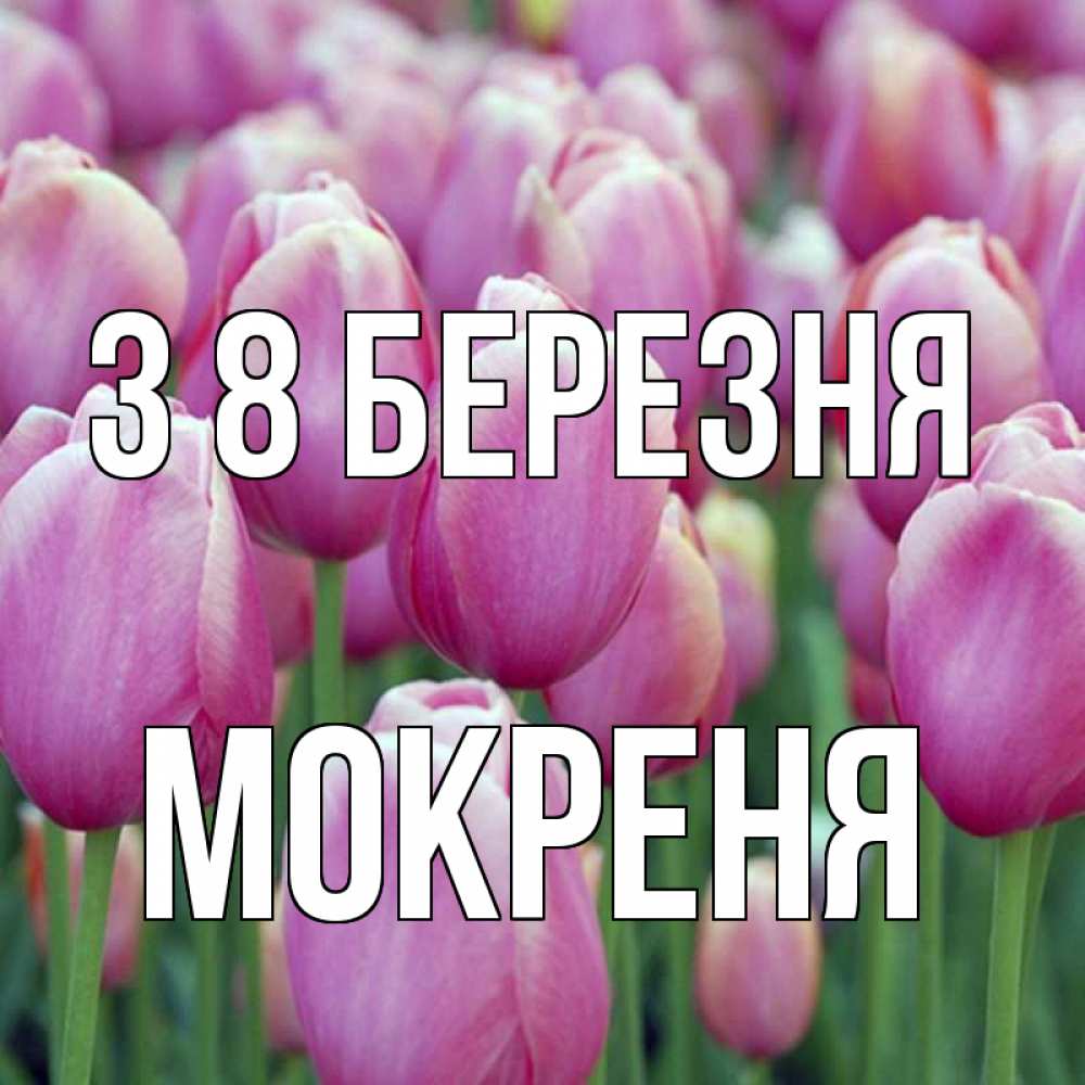Открытка на каждый день з підписом, Мокреня З 8 БЕРЕЗНЯ на международный женский день 3 Прикольна листівка з побажанням онлайн скачати безкоштовно 