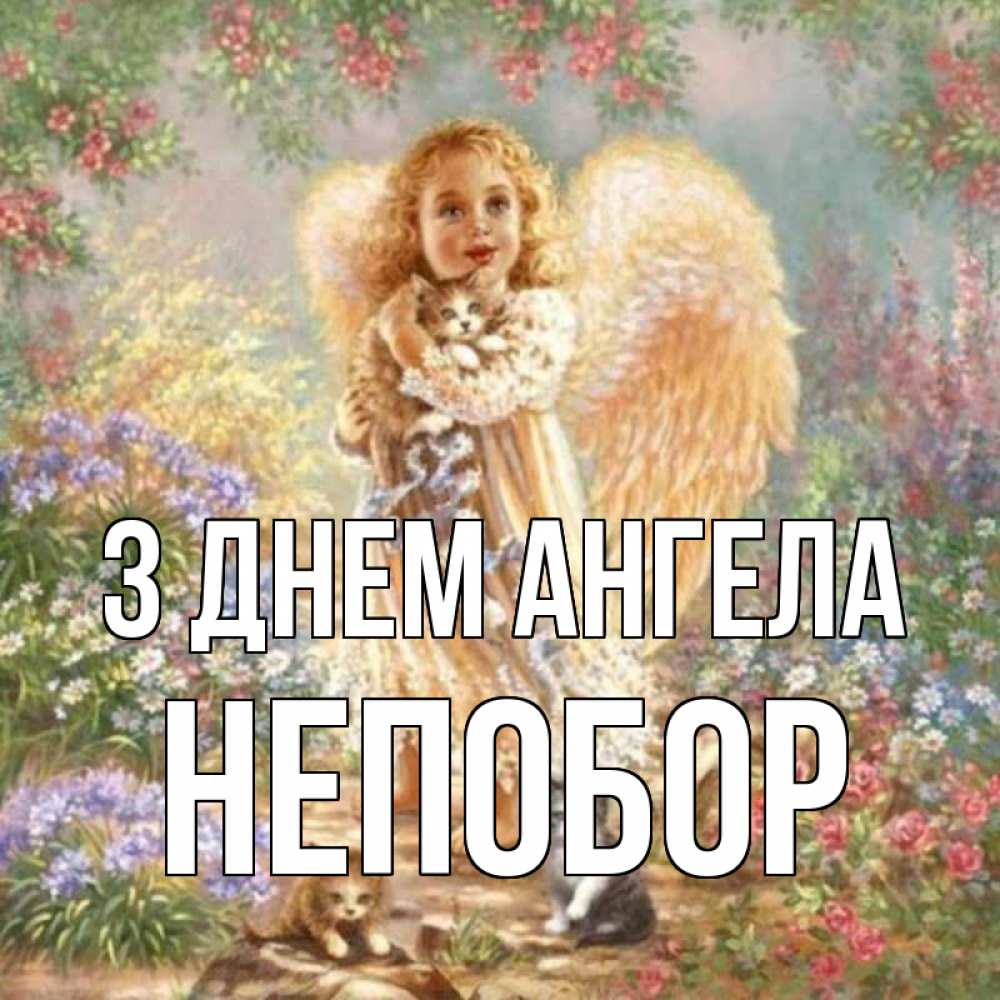 Открытка на каждый день з підписом, Непобор З Днем ангела держит котенка Прикольна листівка з побажанням онлайн скачати безкоштовно 