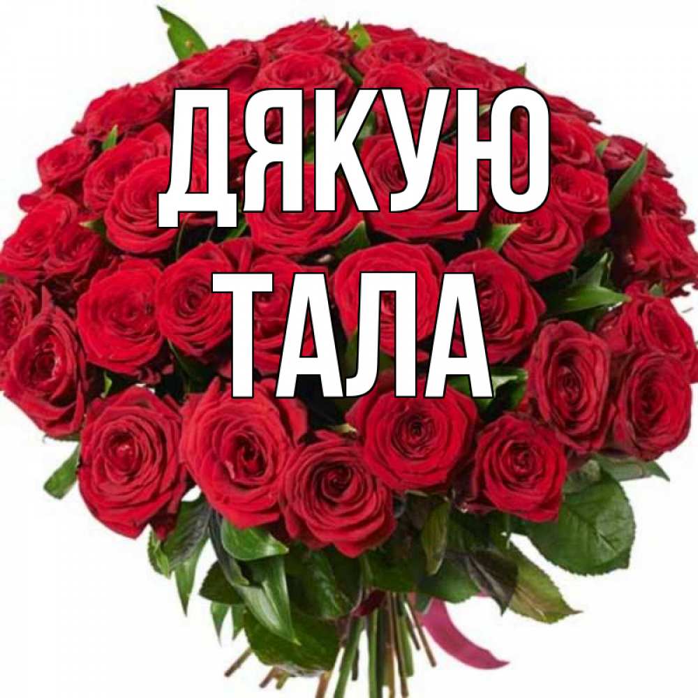 Открытка на каждый день з підписом, Тала Дякую букет красных роз Прикольна листівка з побажанням онлайн скачати безкоштовно 