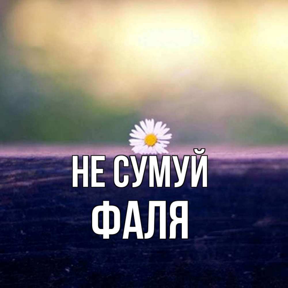 Открытка на каждый день з підписом, Фаля Не сумуй красота Прикольна листівка з побажанням онлайн скачати безкоштовно 