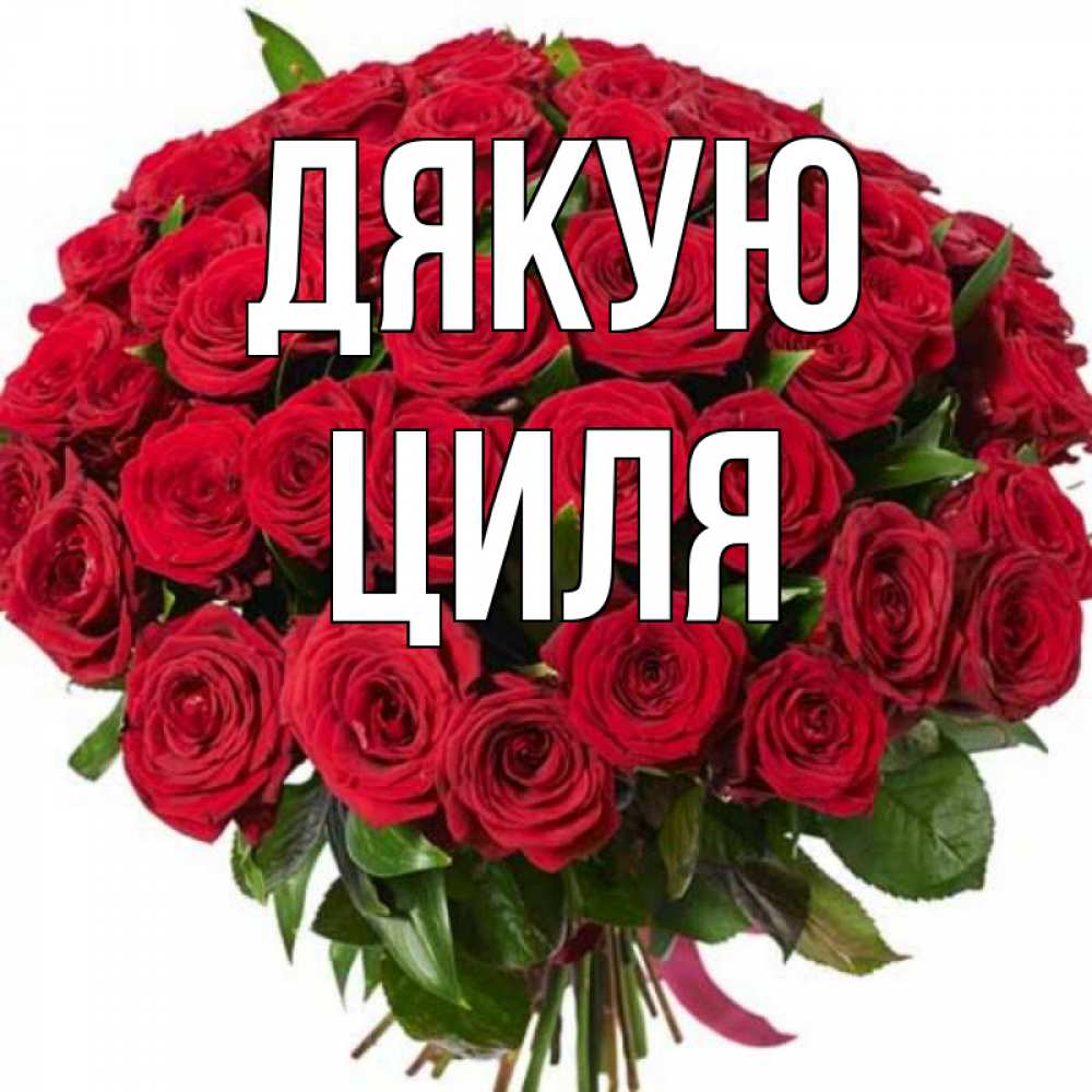 Открытка на каждый день з підписом, Циля Дякую букет красных роз Прикольна листівка з побажанням онлайн скачати безкоштовно 