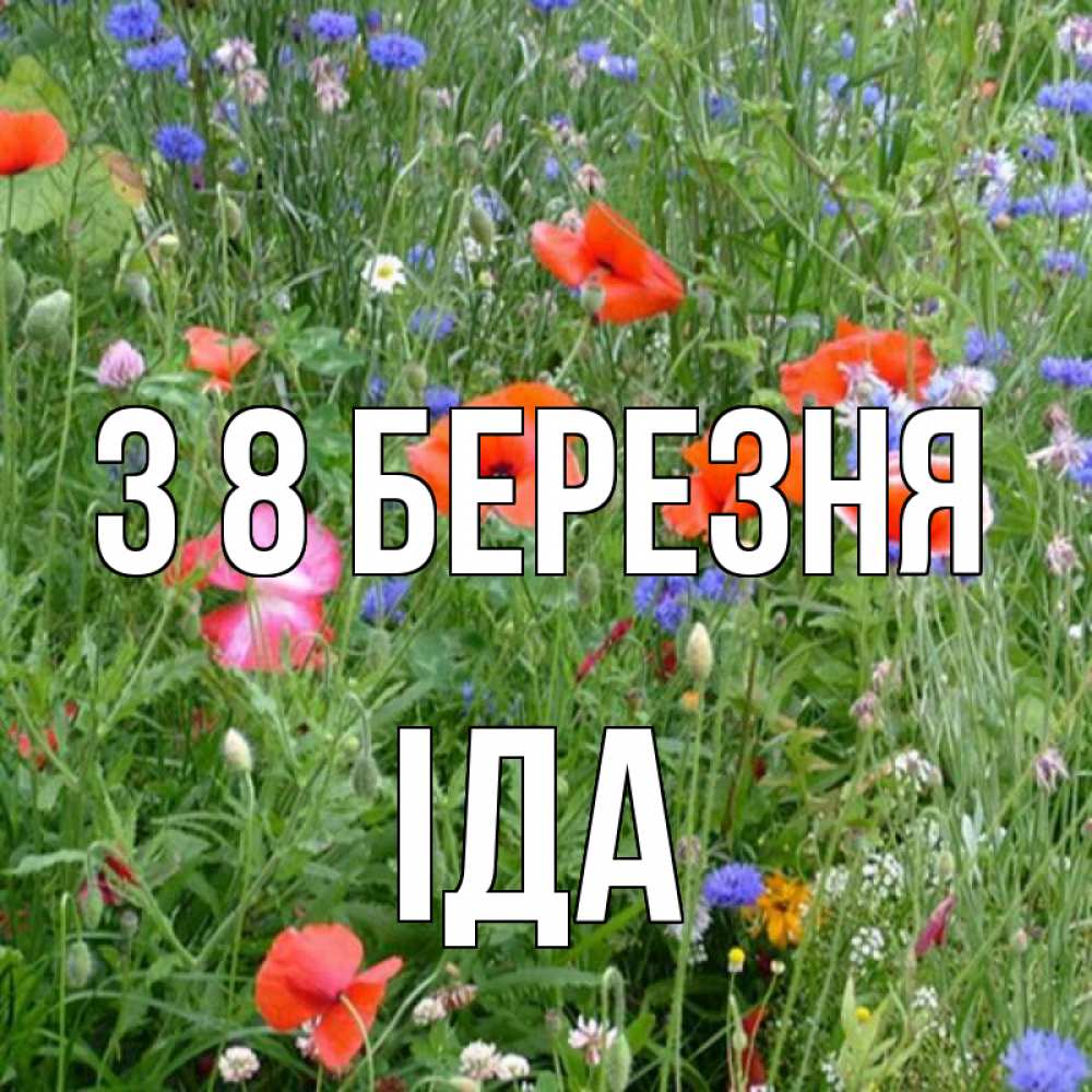 Открытка на каждый день з підписом, Іда З 8 БЕРЕЗНЯ международный женский день 4 Прикольна листівка з побажанням онлайн скачати безкоштовно 