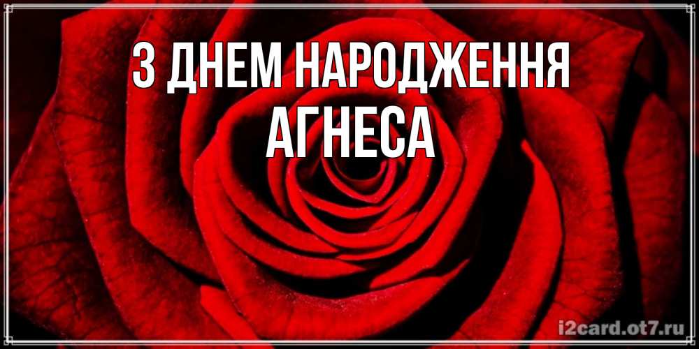 Открытка на каждый день з підписом, Агнеса З Днем народження алая роза Прикольна листівка з побажанням онлайн скачати безкоштовно 