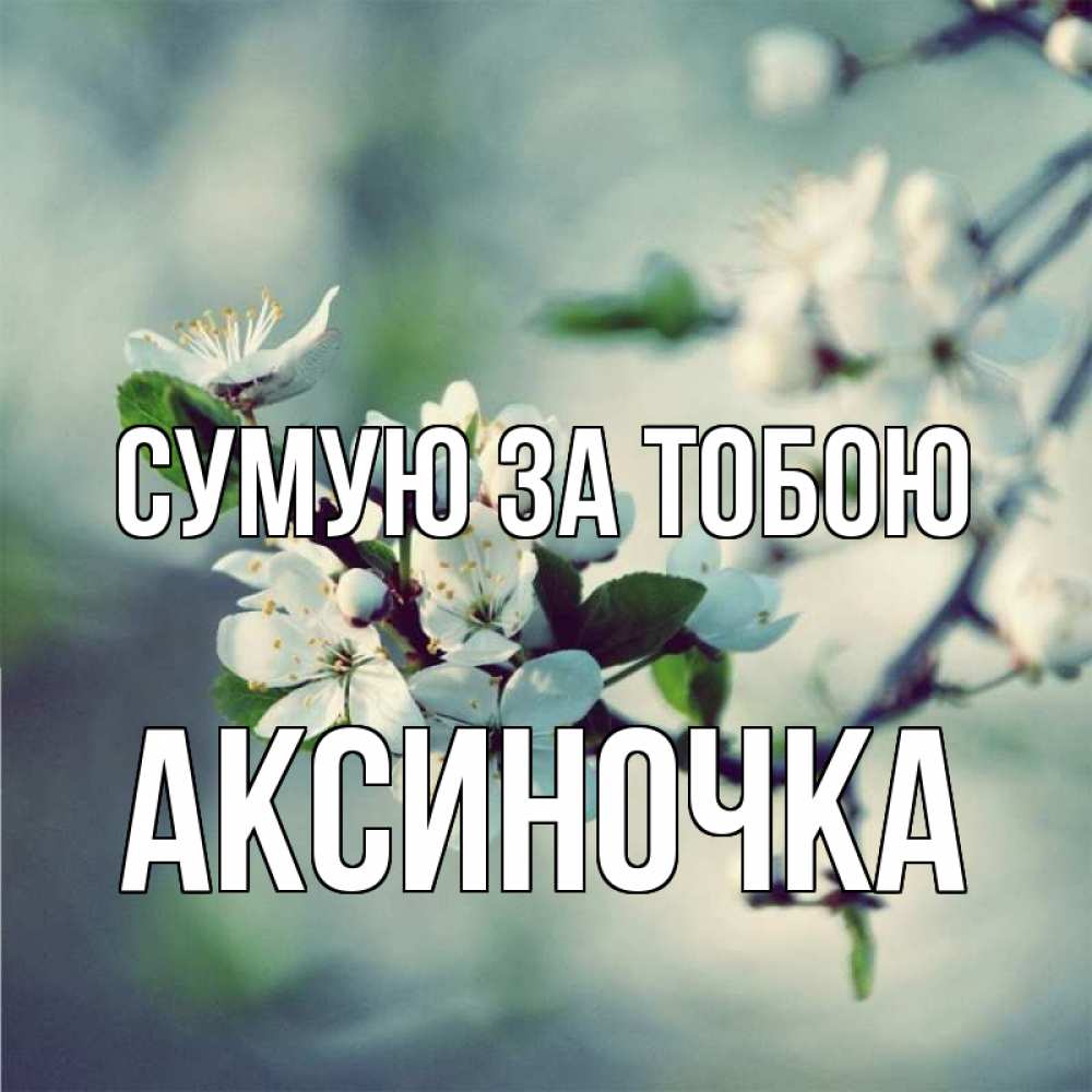Открытка на каждый день з підписом, Аксиночка Сумую за тобою весна Прикольна листівка з побажанням онлайн скачати безкоштовно 