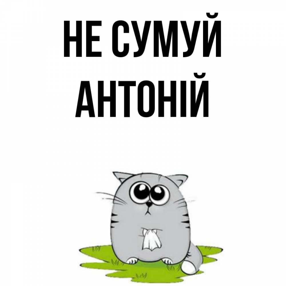 Открытка на каждый день з підписом, Антоній Не сумуй грустный котяра Прикольна листівка з побажанням онлайн скачати безкоштовно 