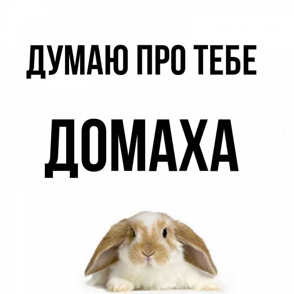 Открытка на каждый день з підписом, Домаха Думаю про тебе подписать своими руками онлайн Прикольна листівка з побажанням онлайн скачати безкоштовно 