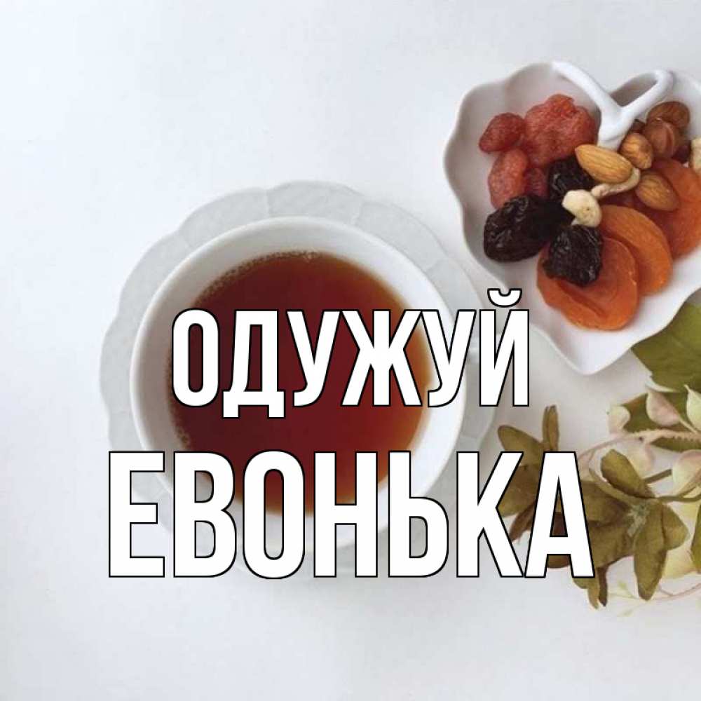 Открытка на каждый день з підписом, Евонька Одужуй неизвестные растения Прикольна листівка з побажанням онлайн скачати безкоштовно 