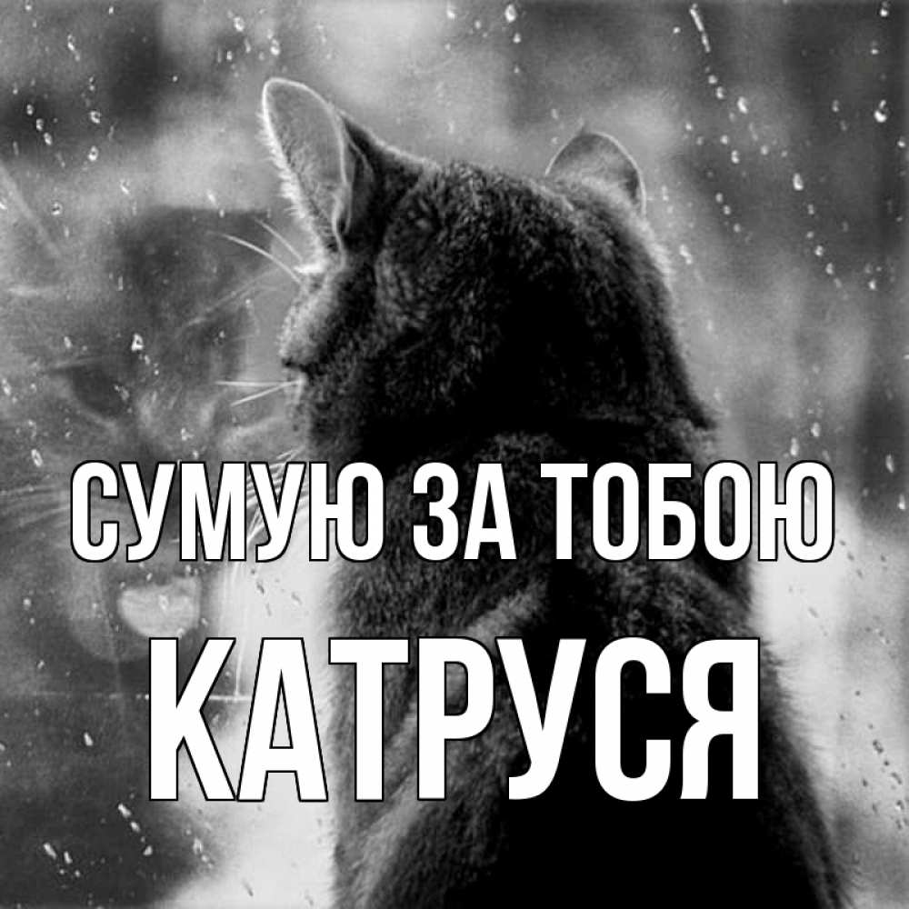 Открытка на каждый день з підписом, Катруся Сумую за тобою скорее ко мне приходи 1 Прикольна листівка з побажанням онлайн скачати безкоштовно 