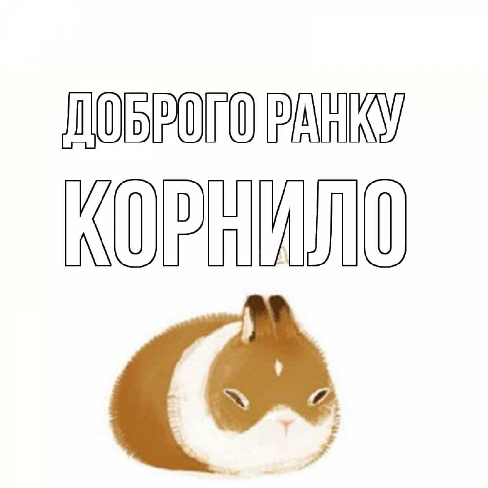 Открытка на каждый день з підписом, Корнило Доброго ранку хорошего утречка Прикольна листівка з побажанням онлайн скачати безкоштовно 