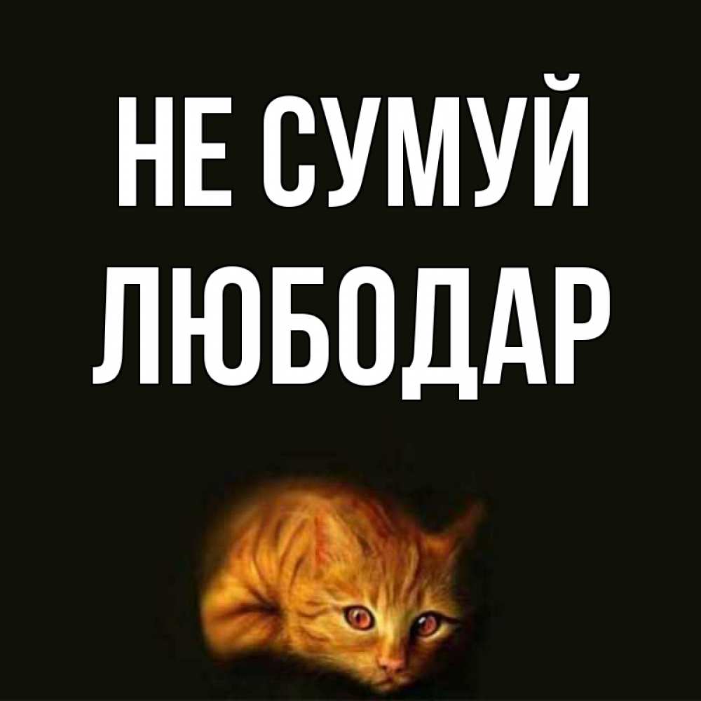Открытка на каждый день з підписом, Любодар Не сумуй лежащий кот в темноте Прикольна листівка з побажанням онлайн скачати безкоштовно 