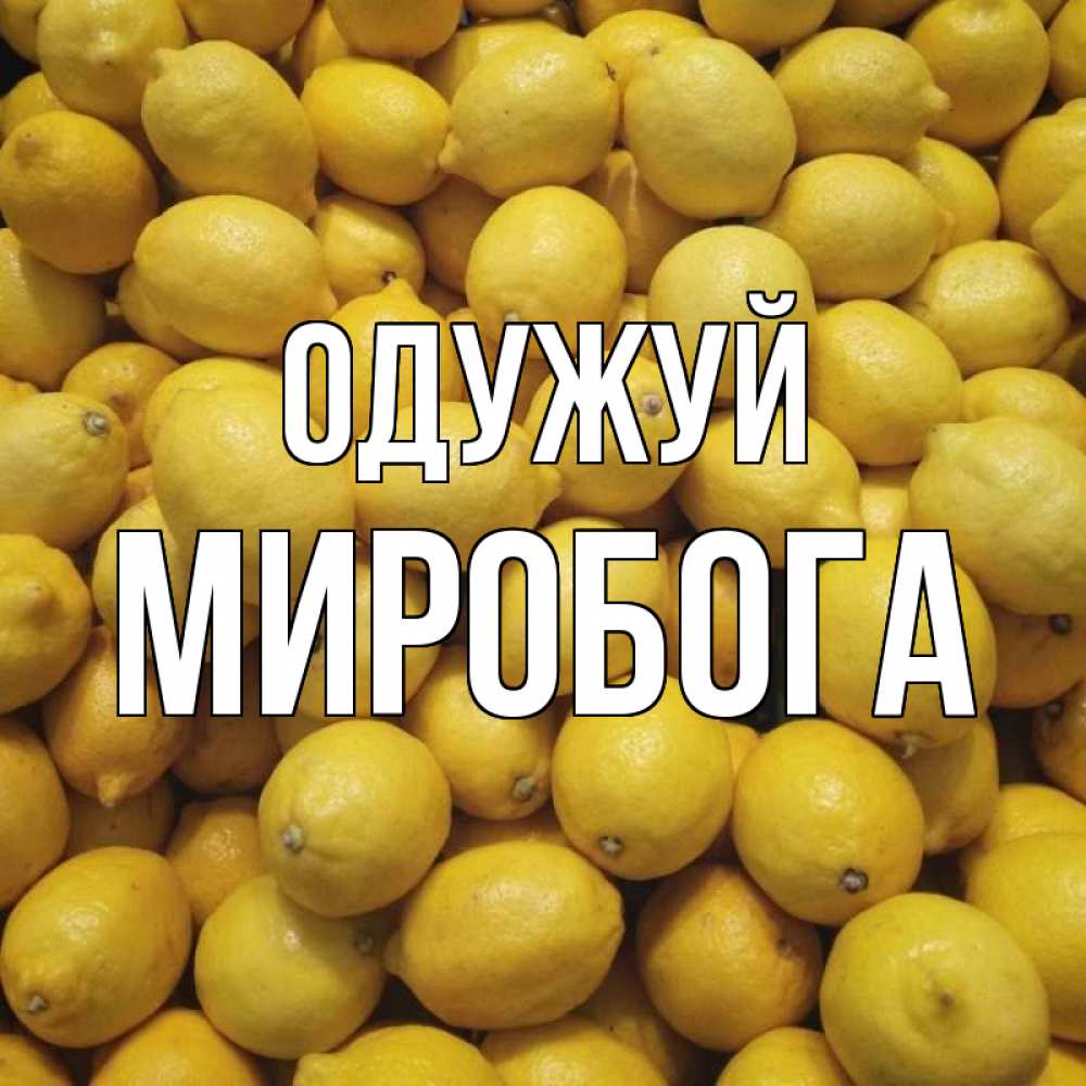 Открытка на каждый день з підписом, Миробога Одужуй это точно поможет Прикольна листівка з побажанням онлайн скачати безкоштовно 