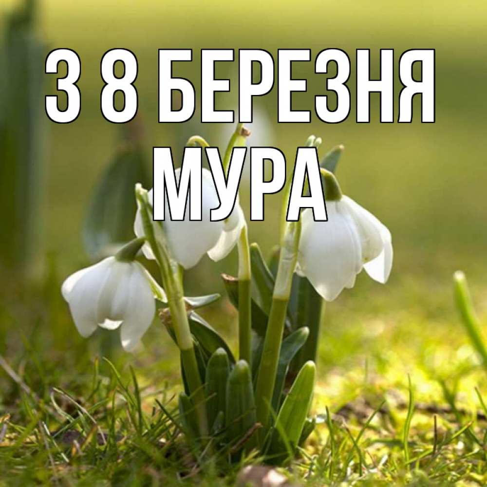 Открытка на каждый день з підписом, Мура З 8 БЕРЕЗНЯ ранние цветы 2 Прикольна листівка з побажанням онлайн скачати безкоштовно 