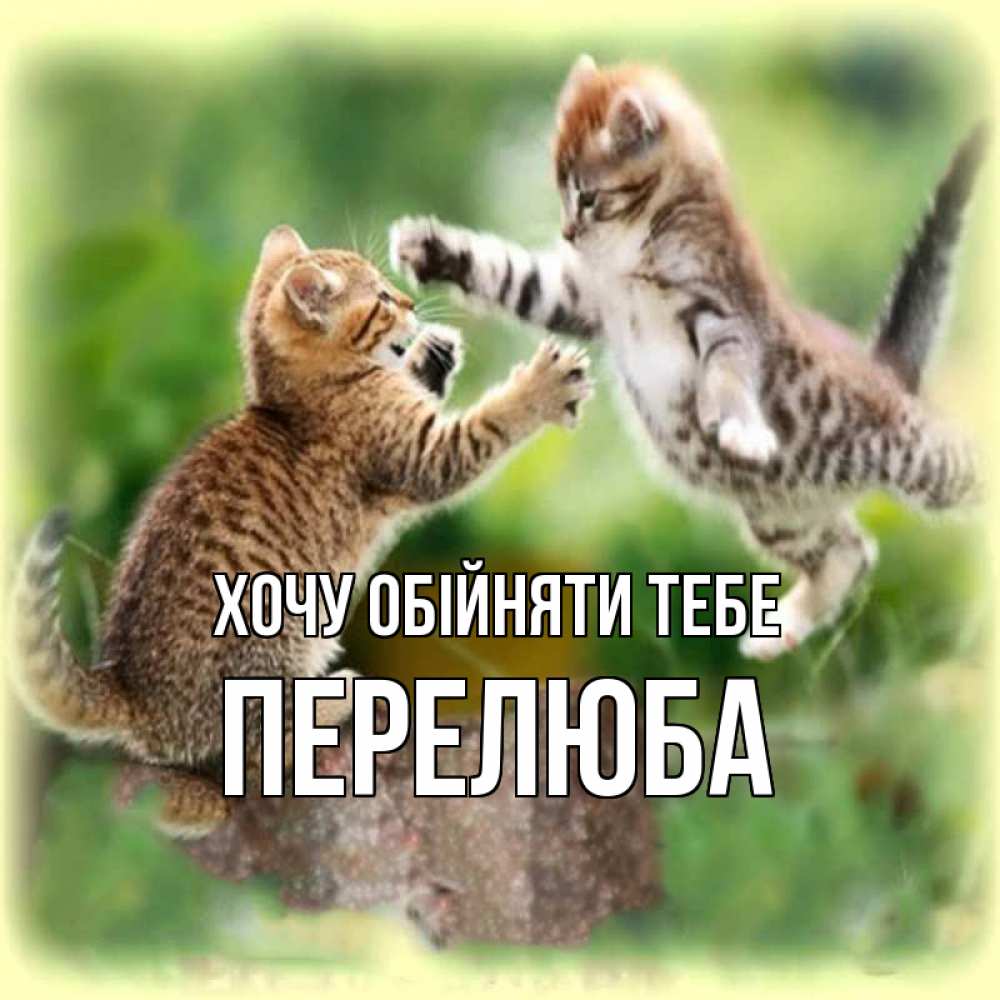 Открытка на каждый день з підписом, Перелюба Хочу обійняти тебе игры котят Прикольна листівка з побажанням онлайн скачати безкоштовно 
