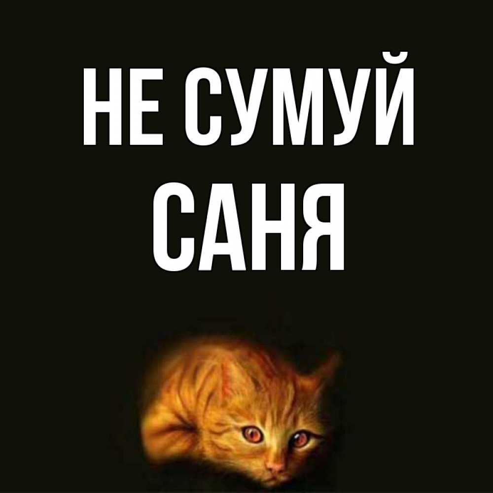 Открытка на каждый день з підписом, Саня Не сумуй лежащий кот в темноте Прикольна листівка з побажанням онлайн скачати безкоштовно 