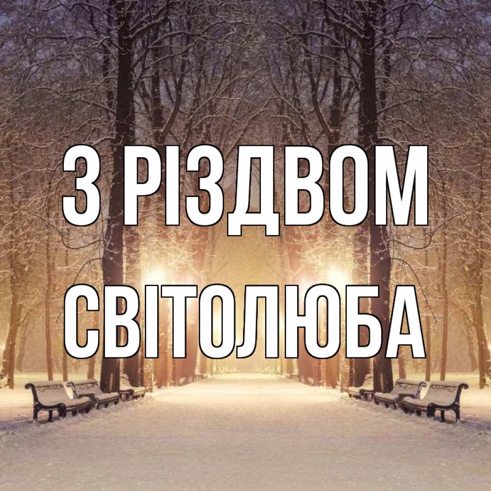 Открытка на каждый день з підписом, Світолюба З Різдвом зима, парк, фонарь, лес Прикольна листівка з побажанням онлайн скачати безкоштовно 