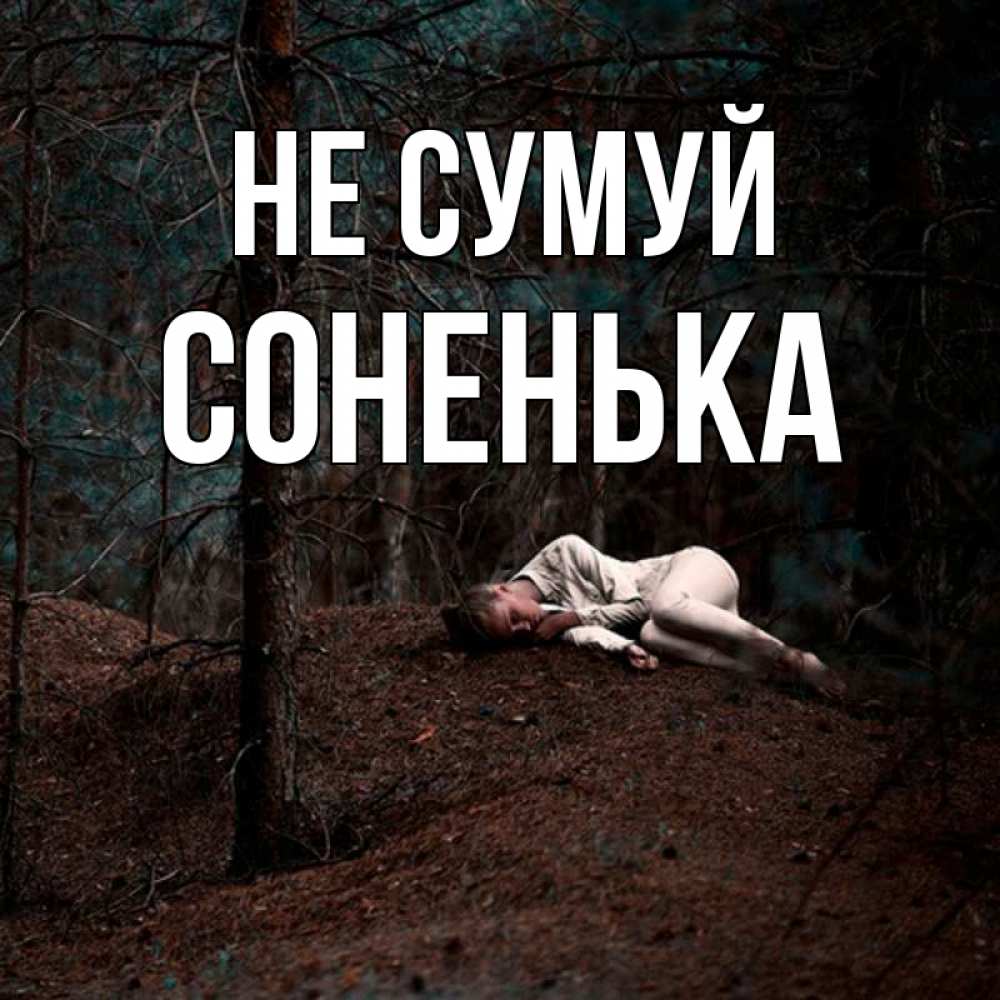 Открытка на каждый день з підписом, Соненька Не сумуй лес Прикольна листівка з побажанням онлайн скачати безкоштовно 