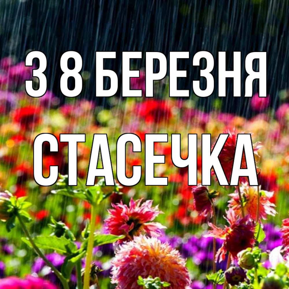 Открытка на каждый день з підписом, Стасечка З 8 БЕРЕЗНЯ цветы под дождиком к международному женскому дню Прикольна листівка з побажанням онлайн скачати безкоштовно 