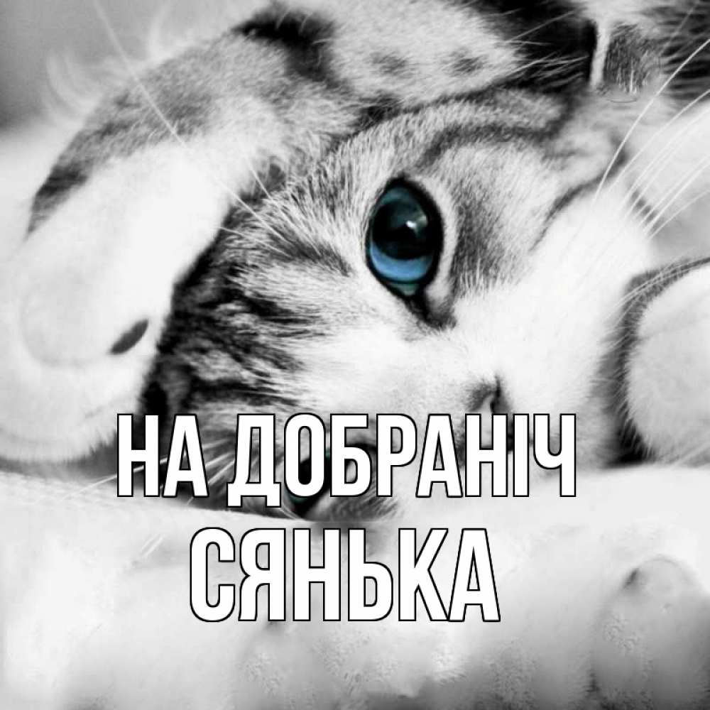 Открытка на каждый день з підписом, Сянька На добраніч кот устал Прикольна листівка з побажанням онлайн скачати безкоштовно 