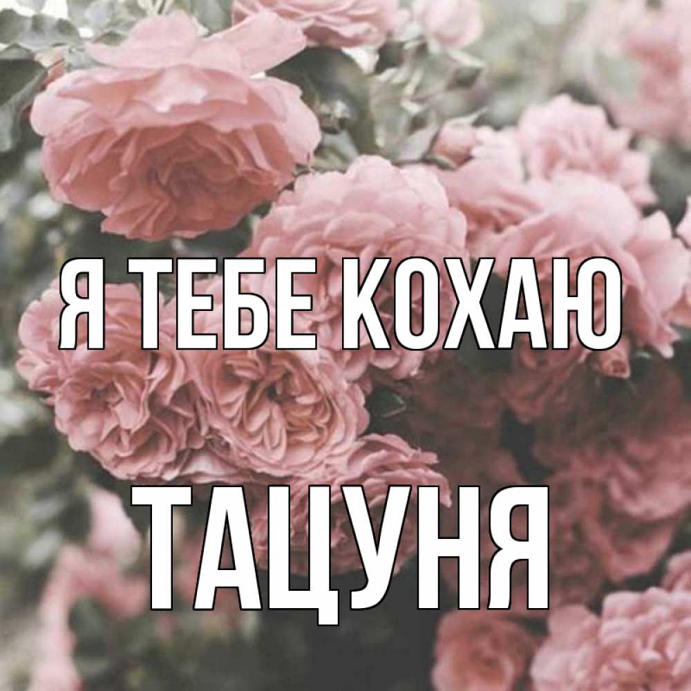 Открытка на каждый день з підписом, Тацуня Я тебе кохаю розы 3 Прикольна листівка з побажанням онлайн скачати безкоштовно 