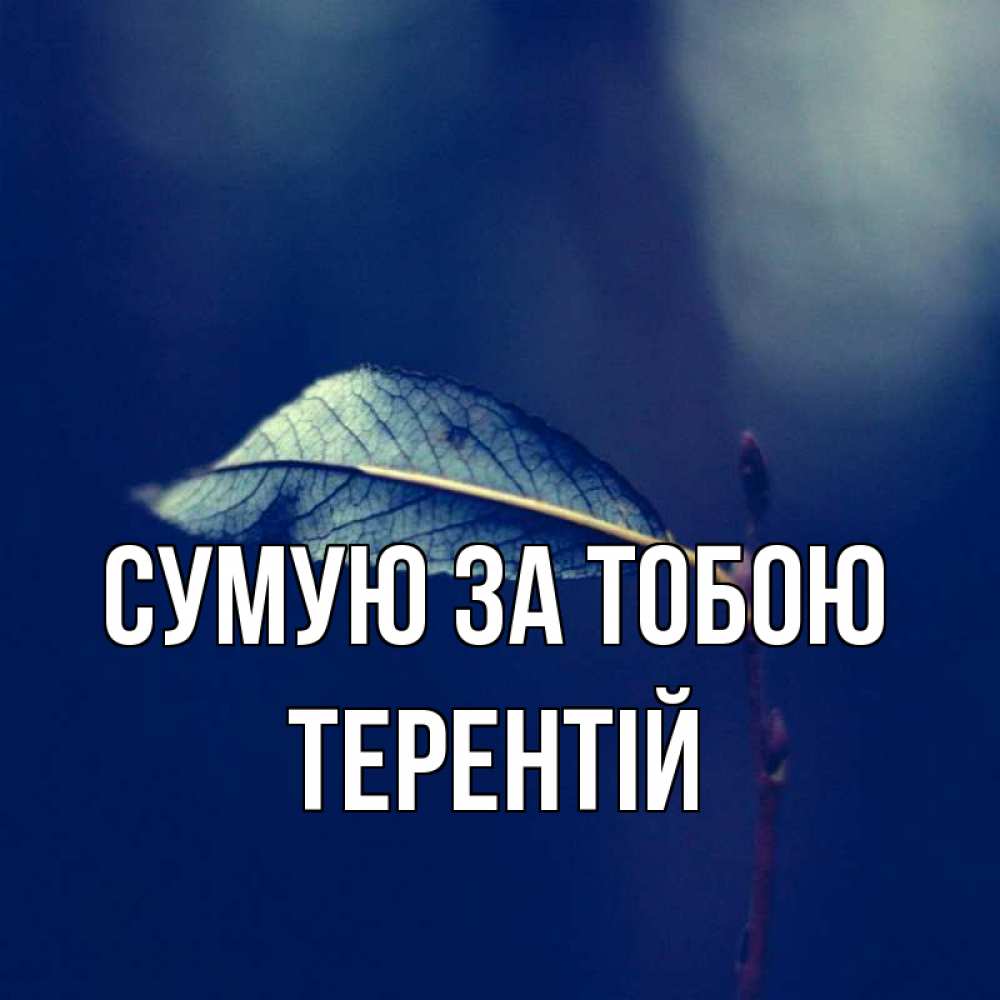 Открытка на каждый день з підписом, Терентій Сумую за тобою одна ветка 1 Прикольна листівка з побажанням онлайн скачати безкоштовно 
