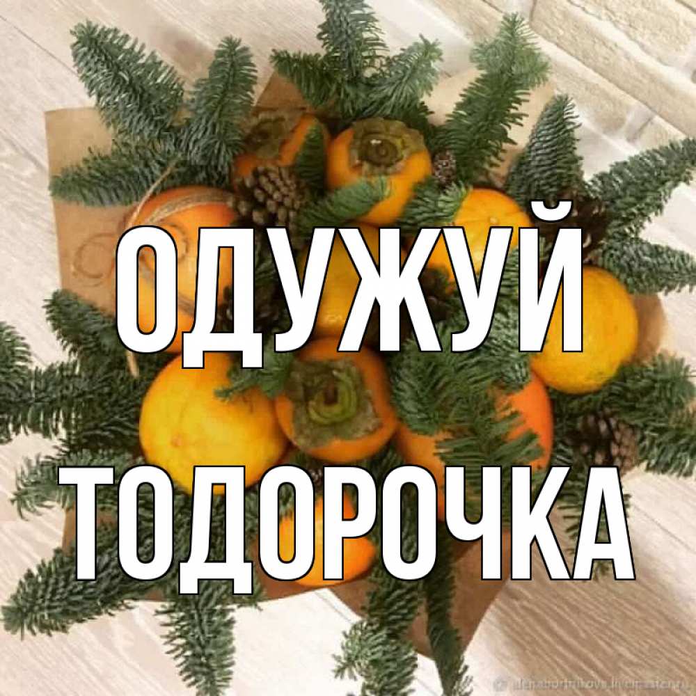 Открытка на каждый день з підписом, Тодорочка Одужуй апельсины и хурьма Прикольна листівка з побажанням онлайн скачати безкоштовно 