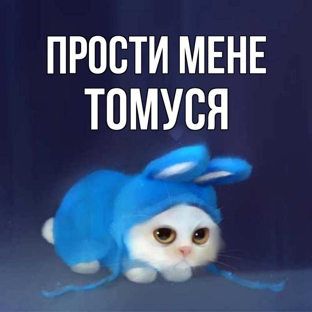 Открытка на каждый день з підписом, Томуся Прости мене невинный котозай просит прощения Прикольна листівка з побажанням онлайн скачати безкоштовно 