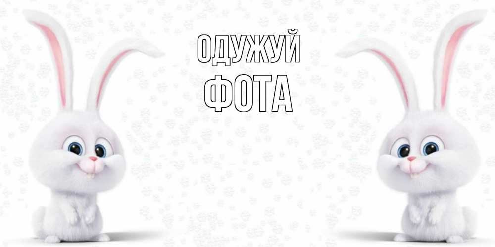 Открытка на каждый день з підписом, Фота Одужуй не болей с зайцем Прикольна листівка з побажанням онлайн скачати безкоштовно 